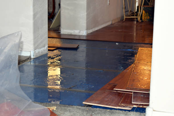 Professional Basement Flood Cleanup technician working in Newton, MS